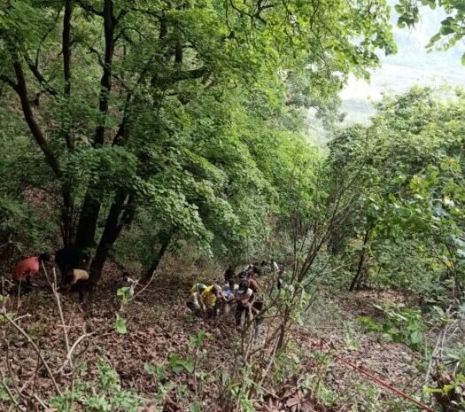 यूटिलिटी वाहन दुर्घटनाग्रस्त, एक कि मौत एक घायल